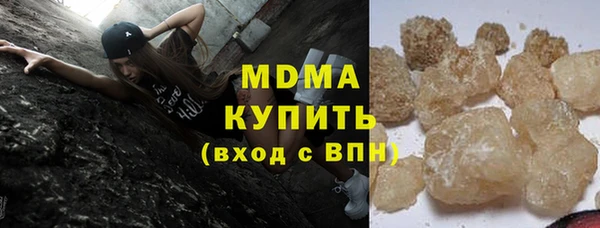 ГАЛЛЮЦИНОГЕННЫЕ ГРИБЫ Ельня
