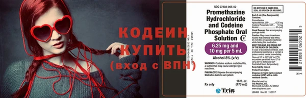 крисы Елабуга
