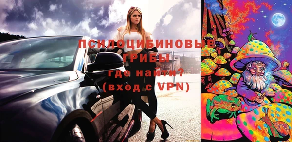 крисы Елабуга