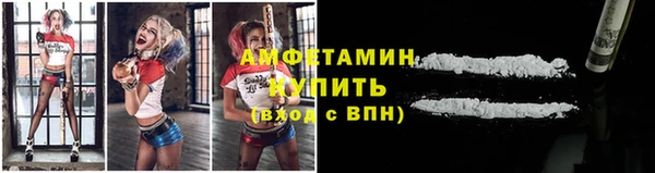 молекула духа Елизово