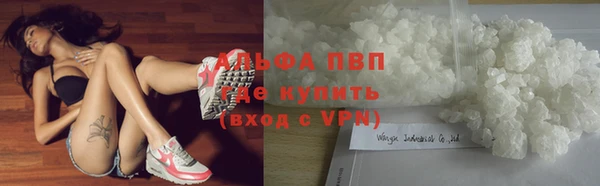 крисы Елабуга