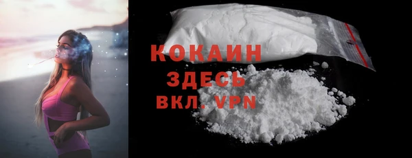 ГАЛЛЮЦИНОГЕННЫЕ ГРИБЫ Ельня