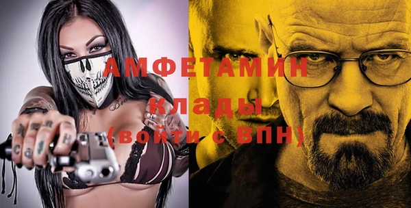 крисы Елабуга