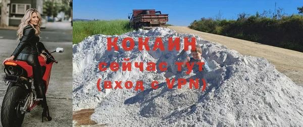 ГАЛЛЮЦИНОГЕННЫЕ ГРИБЫ Ельня