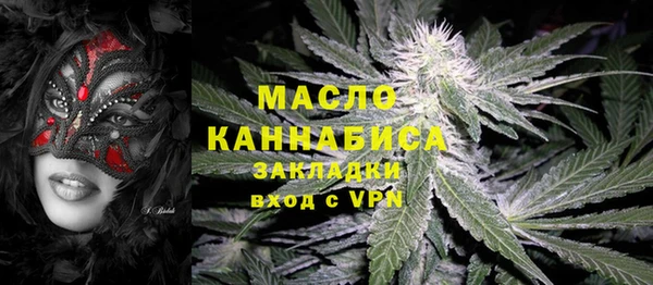 крисы Елабуга