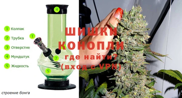 ГАЛЛЮЦИНОГЕННЫЕ ГРИБЫ Ельня